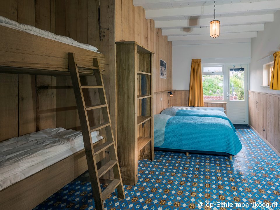  David in It Aude Kolonyh&ucirc;s